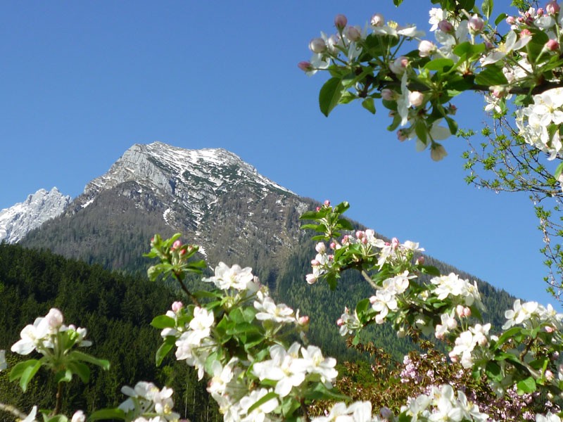 Frhling im Gstehaus Eckau